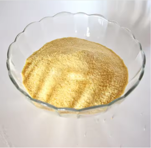 Gelatin from fish skin Absorbable Hemostatic Gelatin Sponge