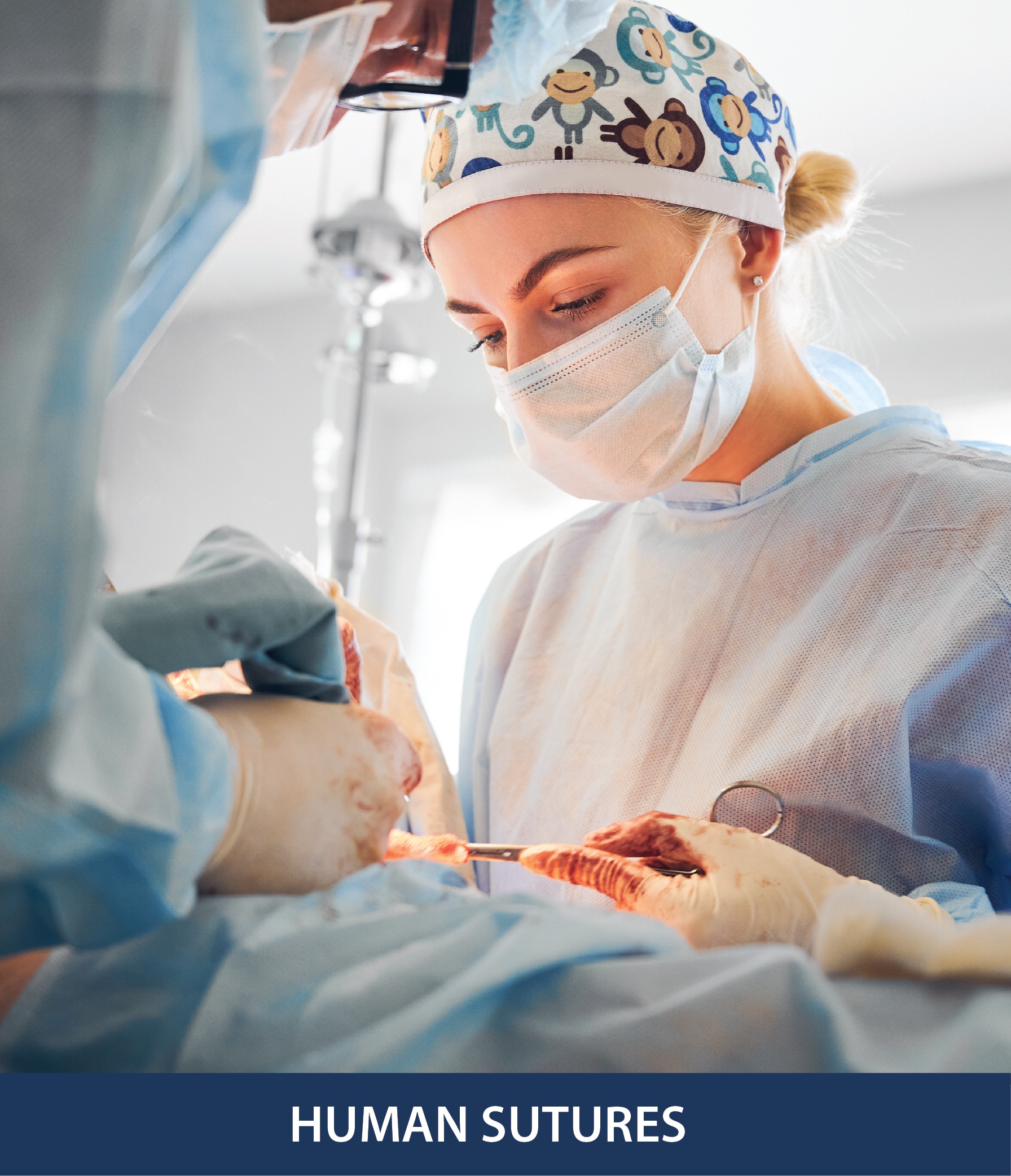 Human surgical sutures portfolio manufactured by Universal Sutures in Bengaluru